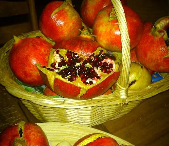 Apartamento Helena *